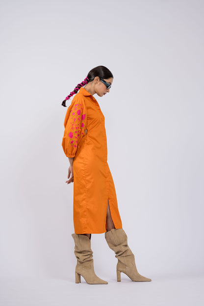 Tangerine Shirt Dress